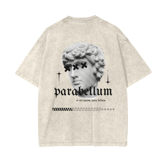 Acid Wash Oversize T-Shirt - Roman Mythology