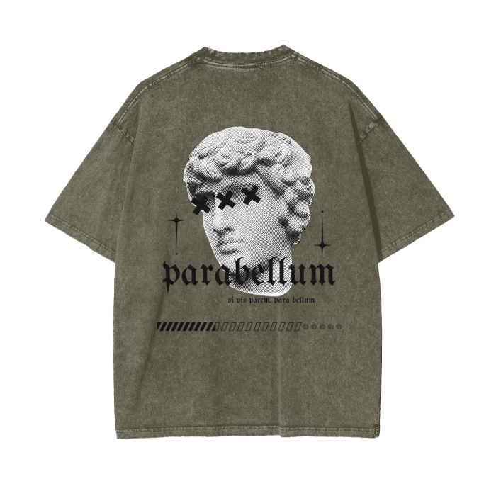 Acid Wash Oversize T-Shirt - Roman Mythology