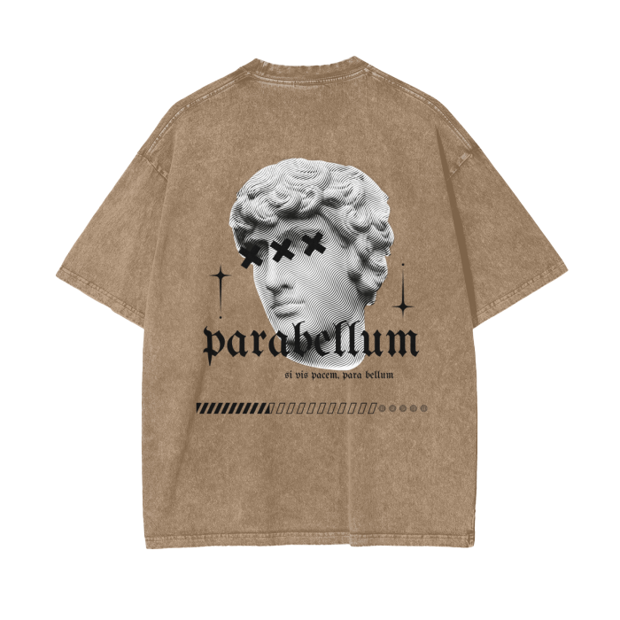 Acid Wash Oversize T-Shirt - Roman Mythology
