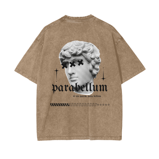 Acid Wash Oversize T-Shirt - Roman Mythology